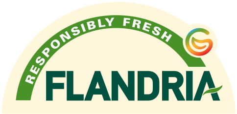 Logo - flandria.png