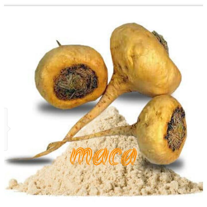 Maca  - PERUVIAN  EXPORT