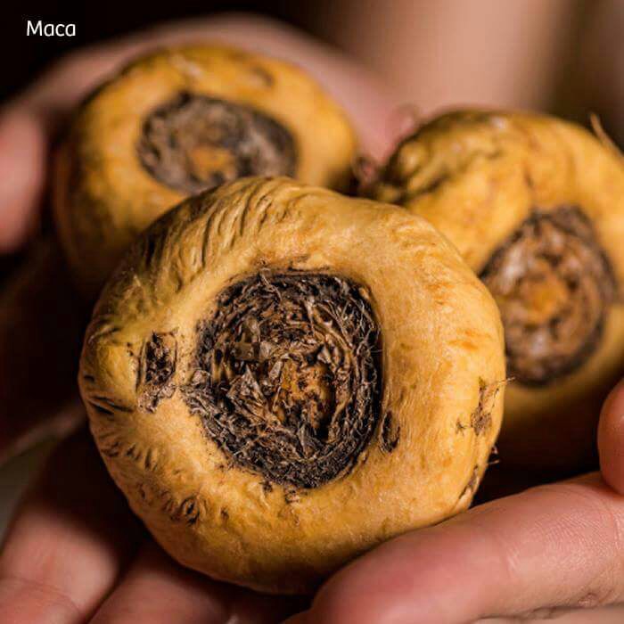 Maca  - PERUVIAN  EXPORT