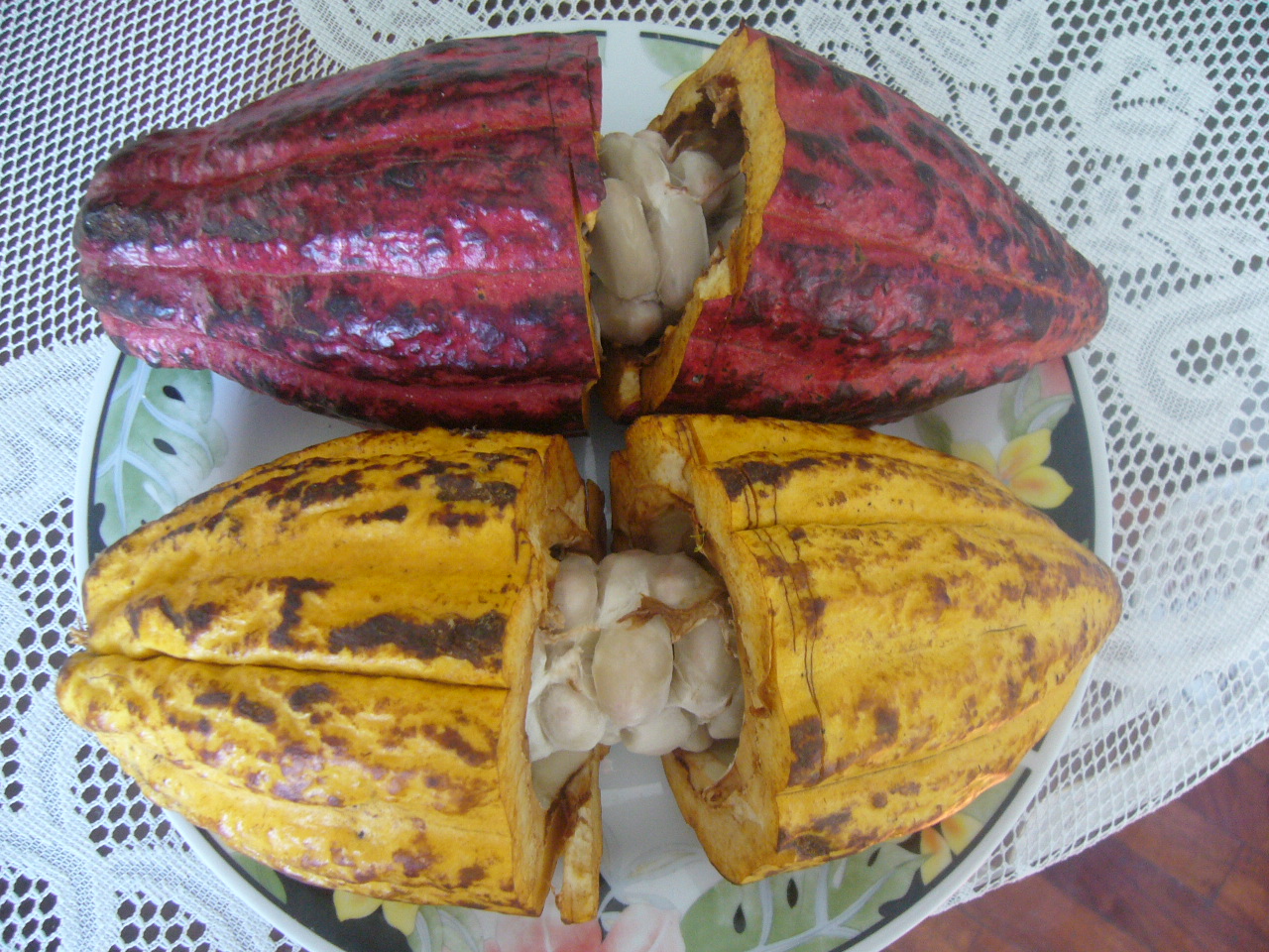 Cacao   - Llapan Miki SAC