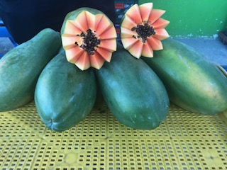 Papaya - SMART SHIPPING & FRUIT SRL