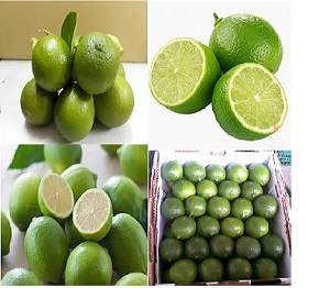 Limón - ASIA SME EXPORT & IMPORT CO., LTD